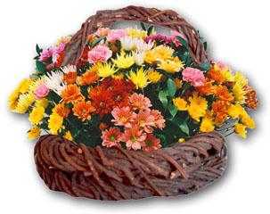  India Flower India Florist  India  Flowers shop India flower delivery online  ,India:Mixed Flower Basket