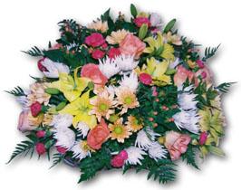  India Flower India Florist  India  Flowers shop India flower delivery online  ,India:Mixed colours