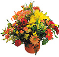 Sweden Contragulations Sweden,:Mixed arrangement in basket