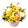  Sweden Flower Sweden Florist  Sweden  Flowers shop Sweden flower delivery online  :Arrangement