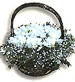 Sweden Birthday Sweden,:White freesia,chrizanteum.gypsophillia in basket