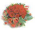 Sweden Get Well Sweden,:Red roses in basket