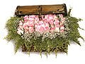 Sweden Love & Romance Sweden,:Pink roses group arrangement in wooden box