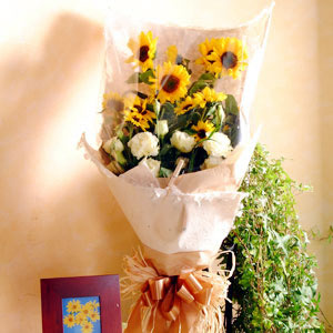 China Bouquets China,,China:Shampagne roses with sunflowers