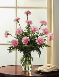 Denmark flower :11 Carnations