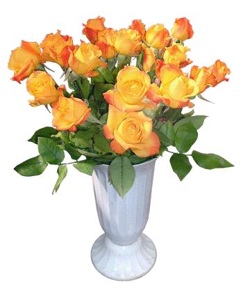 Denmark Roses Denmark,:Baby Peach Roses in a Vase