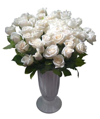 Denmark Roses Denmark,:21 White Roses in a vase