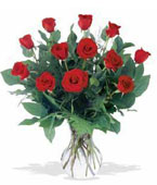 Singapore Birthday Singapore,:Happy BirthDay A Dozen Red Roses