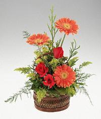 Bouquet gerberas and roses