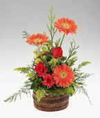 Cambodia Congratulations Cambodia,:Bouquet gerberas and roses