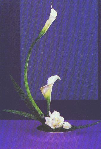 white callas lilies bouquet