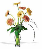 Austria Contemporary Collection Austria,:Grand Gerberas