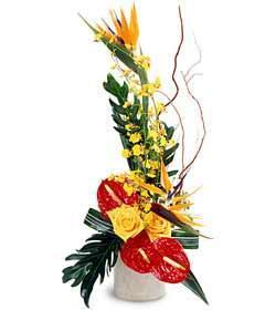 Exotic Flowers bouquet