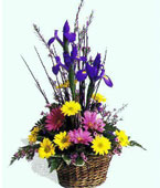  Jordan Flower Jordan Florist  Jordan  Flowers shop Jordan flower delivery online :Cheer up