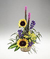  Singapore Flower Singapore Florist  Singapore  Flowers shop Singapore flower delivery online :Get well  and out and about