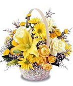  Cambodia Flower Cambodia Florist  Cambodia  Flowers shop Cambodia flower delivery online :Time To Heal