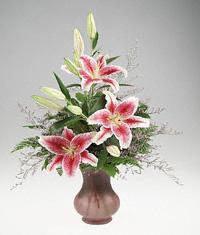 A Presentation of Stargazer  lilies.