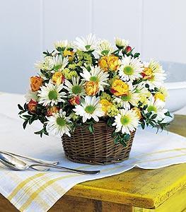 Joyful Roses and Daisies