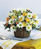  Swiss Flower Swiss Florist  Swiss  Flowers shop Swiss flower delivery online  :Joyful Roses and Daisies