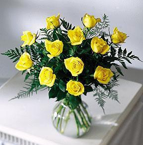 Golden Yellow Rose