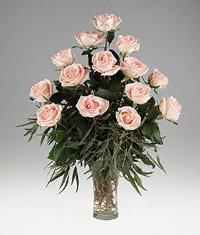 Osiana peach Roses