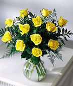 Romania Roses Romania,,Romania:Golden Yellow Rose