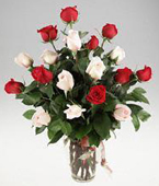 Swiss Valentine's Day (Feb 10-15) Swiss,:24  roses  Red & White Rose