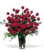 Romania Roses Romania,,Romania:Three dozen red Roses