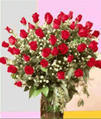 Swiss Valentine's Day (Feb 10-15) Swiss,:Four Dozen Red  Roses