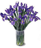 Indonesia Spring Bouquets Indonesia,:Irises Bouquet