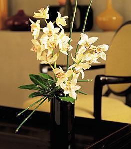 Artful Orchids