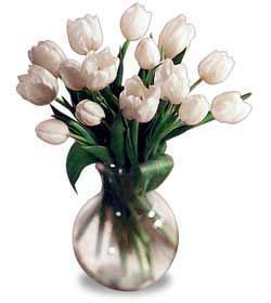 White Tulip Bouquet