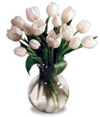 Estonia Tulip Estonia,Estonia:White Tulip Bouquet