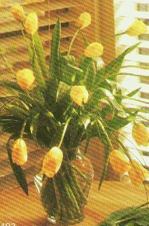 Yellow French Tulips Bouquet