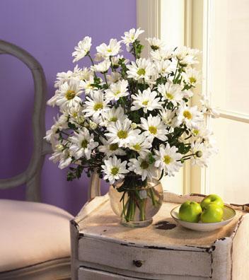 White Daisies bouquet