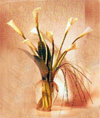 Cambodia White Flowers Cambodia,:Calla Lilies Bouquet