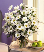 Cambodia White Flowers Cambodia,:White Daisies bouquet