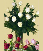 Cambodia White Flowers Cambodia,:White Polo Roses