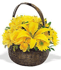  Bangladesh Flower Bangladesh Florist  Bangladesh  Flowers shop Bangladesh flower delivery online  Bangladesh:Yellow Basket