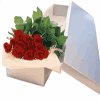  Bangladesh Flower Bangladesh Florist  Bangladesh  Flowers shop Bangladesh flower delivery online  Bangladesh:12 Roses Boxed