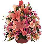  Kuwait  Flower Kuwait  Florist  Kuwait   Flowers shop Kuwait  flower delivery online  :Love Surprise!