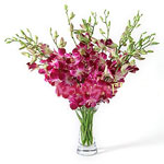  Kuwait  Flower Kuwait  Florist  Kuwait   Flowers shop Kuwait  flower delivery online  :Love is in the Air!