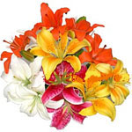 Kuwait  Bouquets Kuwait ,:Mixed Lilies