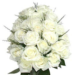 White Roses