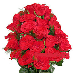 24 Red Roses