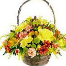 USA Arrangements USA,,:Mixed Seasonal Arrangement