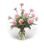 Kuwait  Birthday Kuwait ,:Pink Carnations