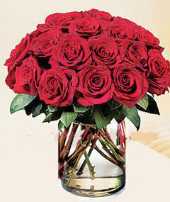 Red Roses in a Vase