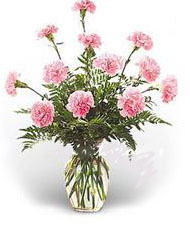 Pink Carnations