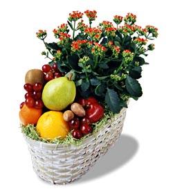 The FTD?Fruits & Flowers